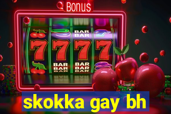 skokka gay bh